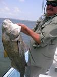 Redfish Roper Fishing Guide - Rockport Port O'Connor and Seadrift.