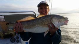 Redfish Roper Fishing Guide - Rockport Port O'Connor and Seadrift.