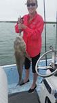 Redfish Roper Fishing Guide - Rockport Port O'Connor and Seadrift.