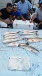 Redfish Roper Fishing Guide - Rockport Port O'Connor and Seadrift.